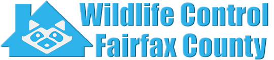 Fairfax County Wildlife and Animal Removal